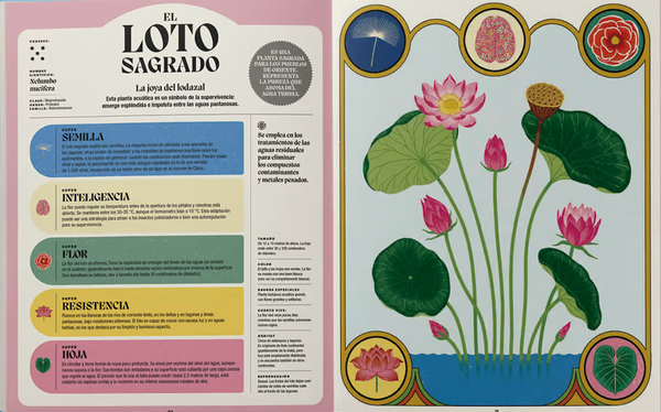 Superpoderes de las plantas