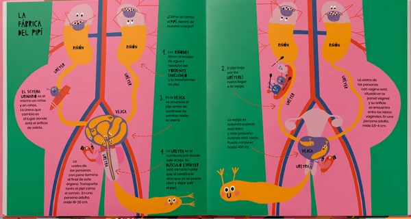 La vida secreta del pipí y la caca