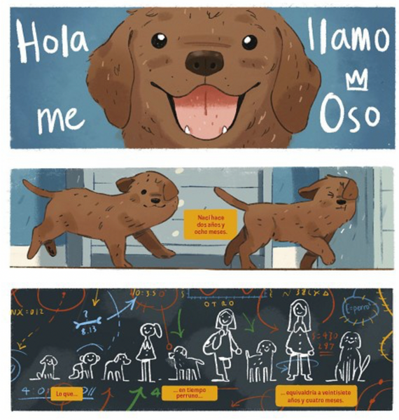 OSO