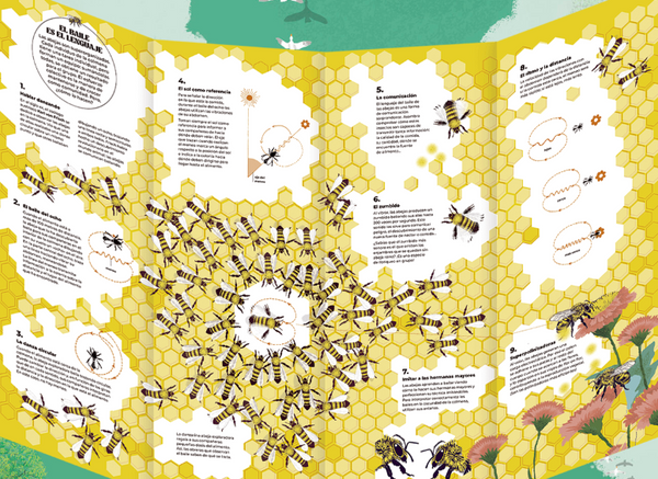 Coreografias animales