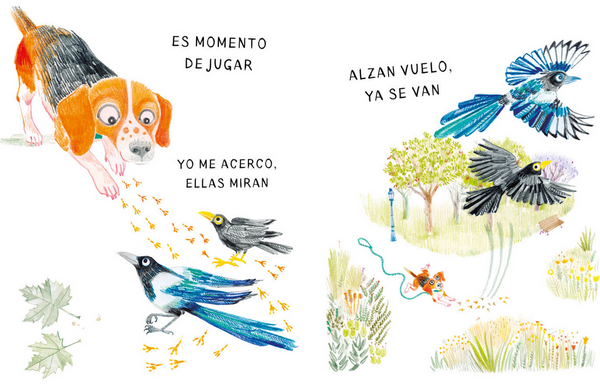 ¿Vamos a la calle?