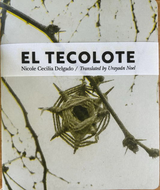 El Tecolote