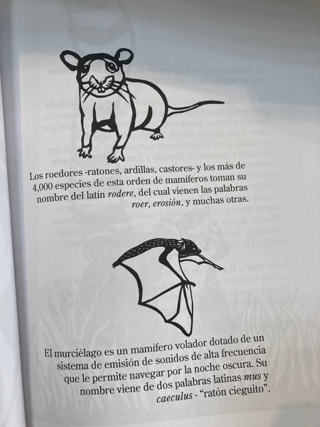 ¿Por qué un tigre es un tigre?: Un bestiario de etimología - Dave Buchen