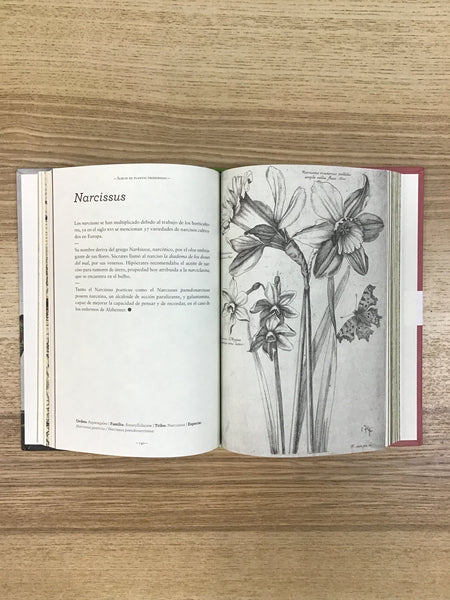 Álbum de plantas prohibidas