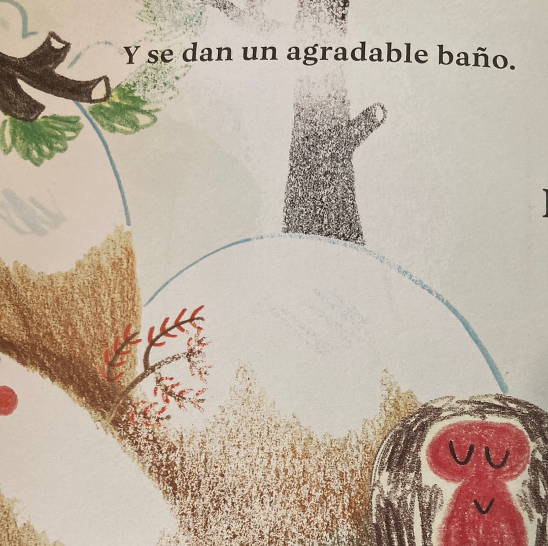 ONSEN. ¿Qué hacen los monos?