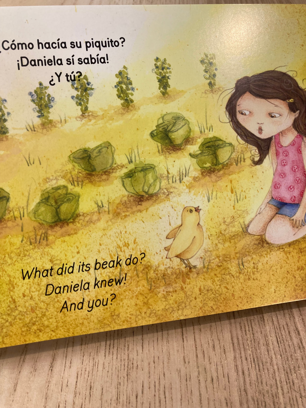 Los animales de Daniela