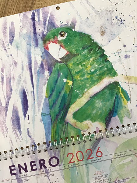 Calendario de aves endémicas y comunes de Puerto Rico 2026