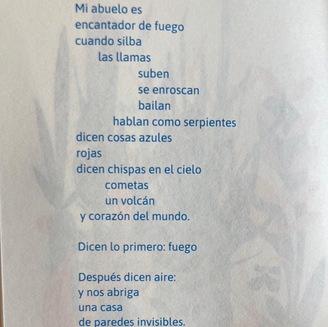 JARDÍN DEL AIRE