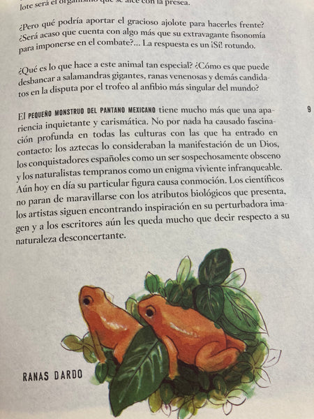 El ajolote