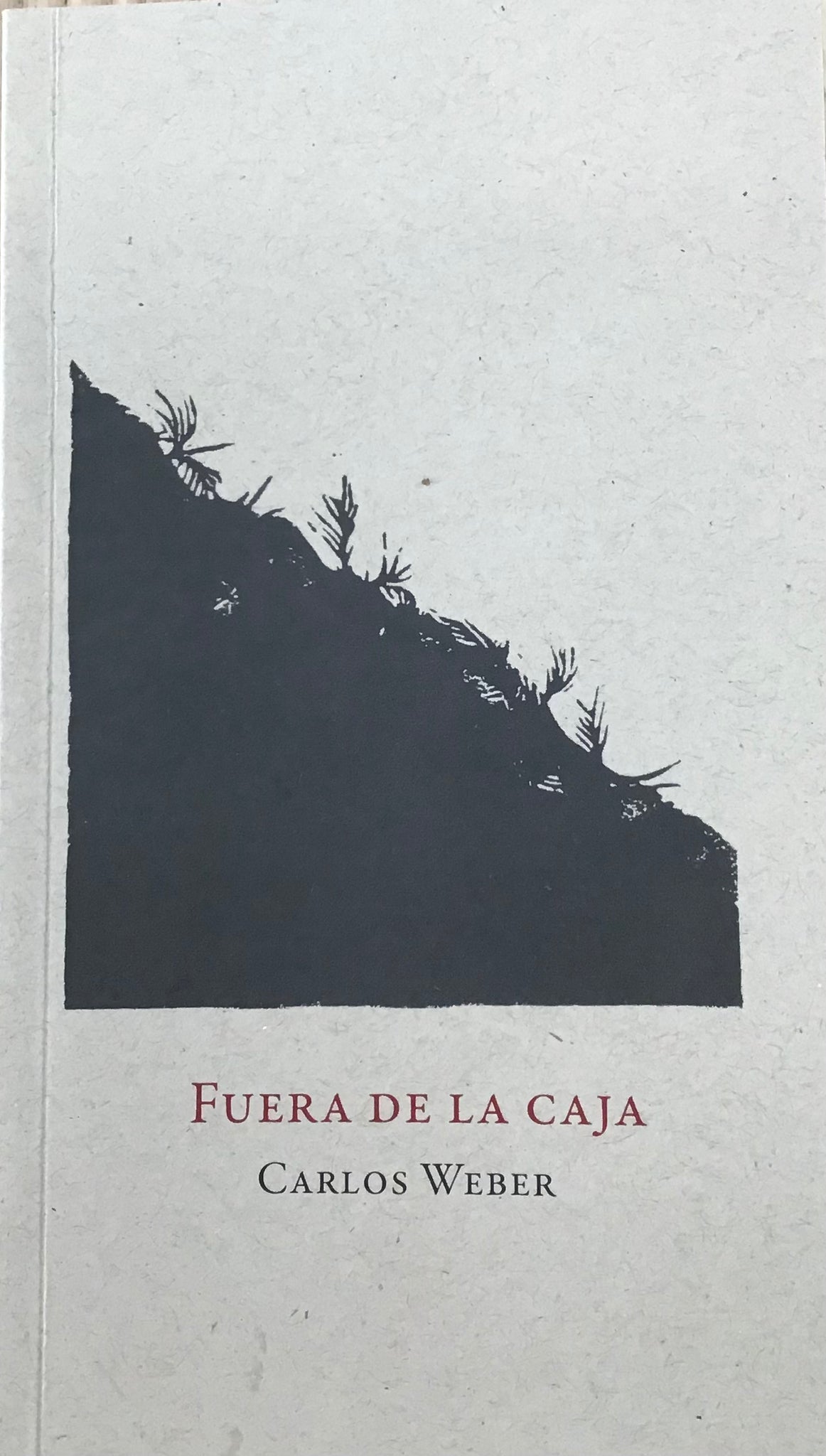 Fuera de la caja