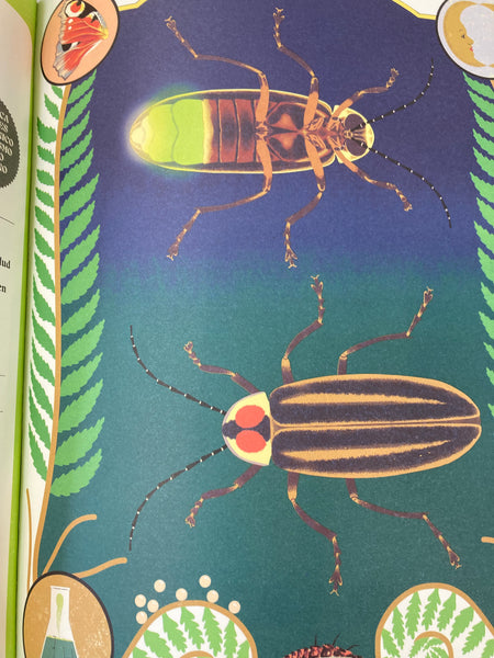Superpoderes de los insectos