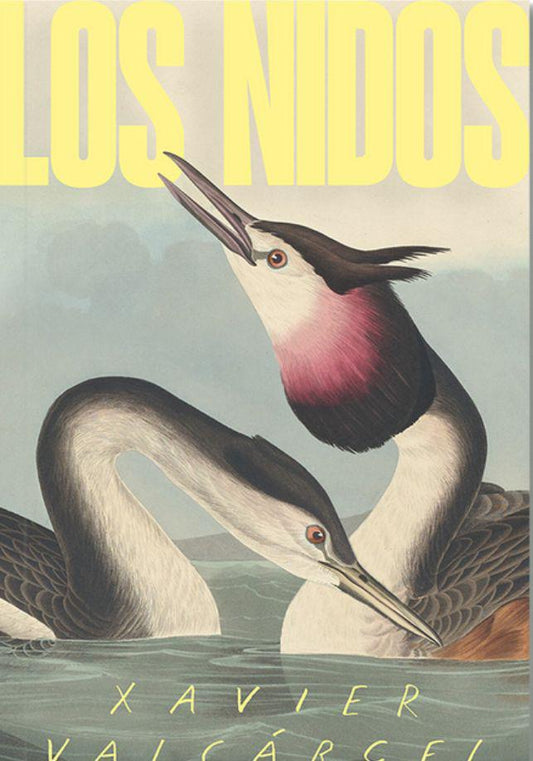 Los nidos