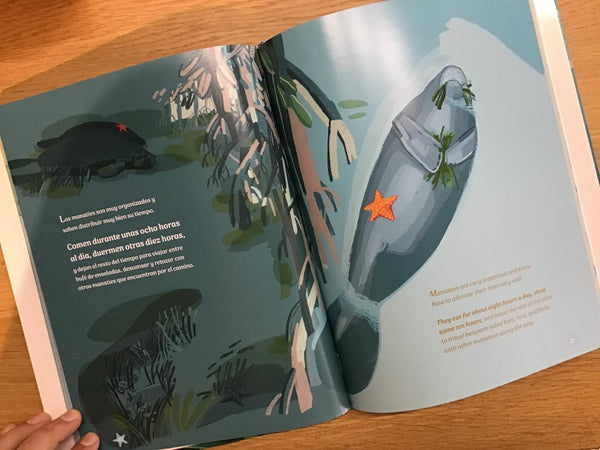 Salvando a un enorme vegetariano marino y a su ensalada