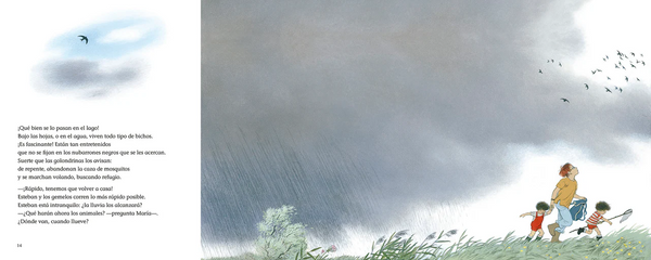 ¿DÓNDE VAN CUANDO LLUEVE?