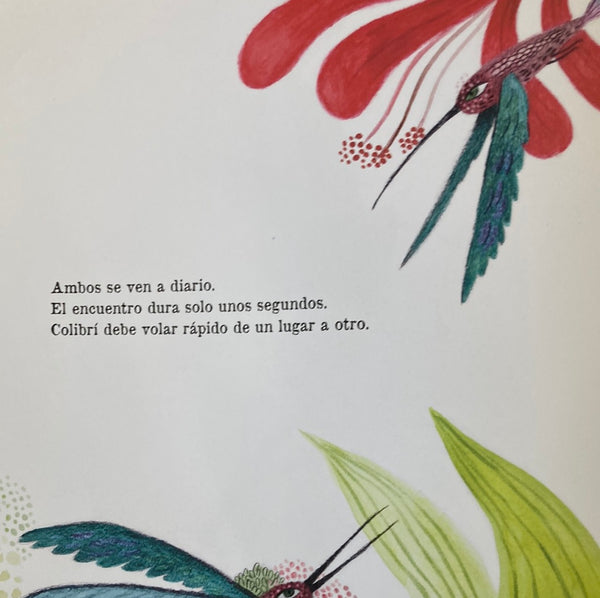 VERBENA Y COLIBRÍ