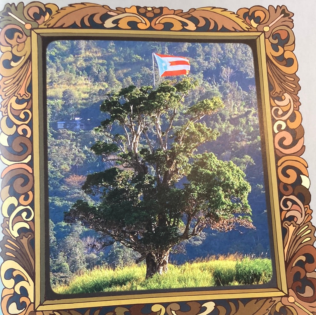 CENTINELA DE MANGÓ