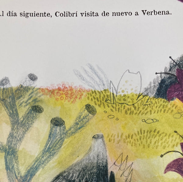 VERBENA Y COLIBRÍ