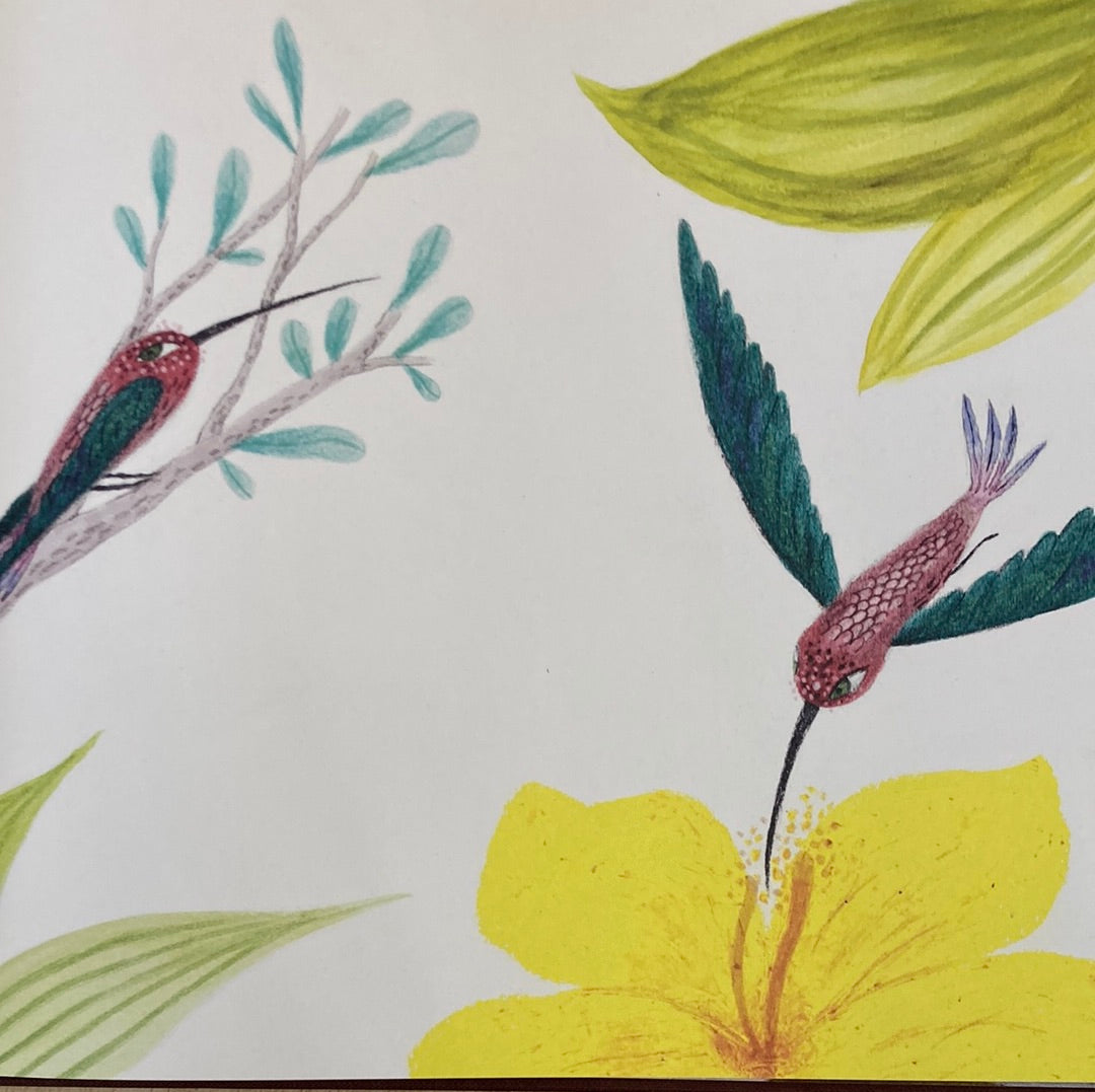 VERBENA Y COLIBRÍ