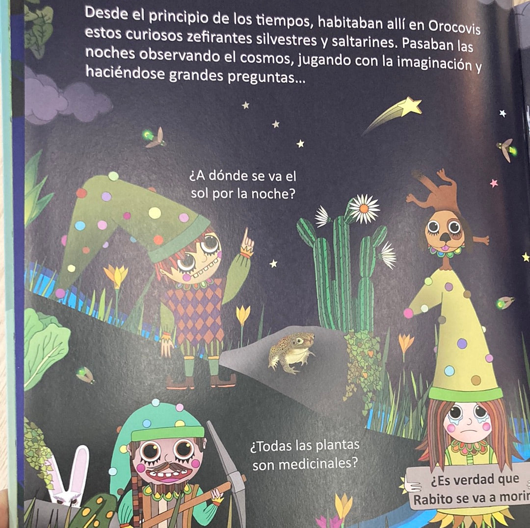 CENTINELA DE MANGÓ