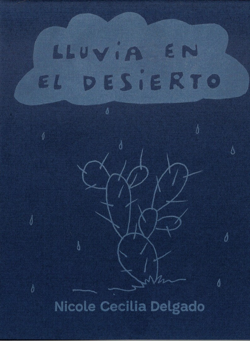 LLUVIA EN EL DESIERTO