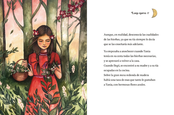 LUNA NUEVA