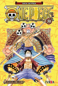 ONE PIECE 30