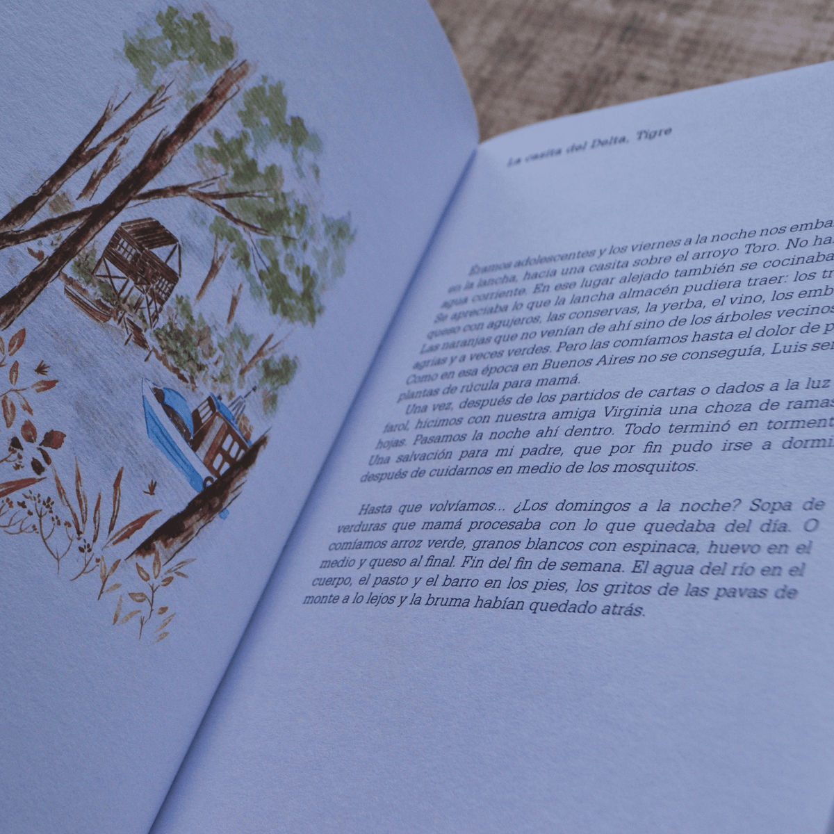 DEL BOSQUE FLORIDO: una vida en recetas