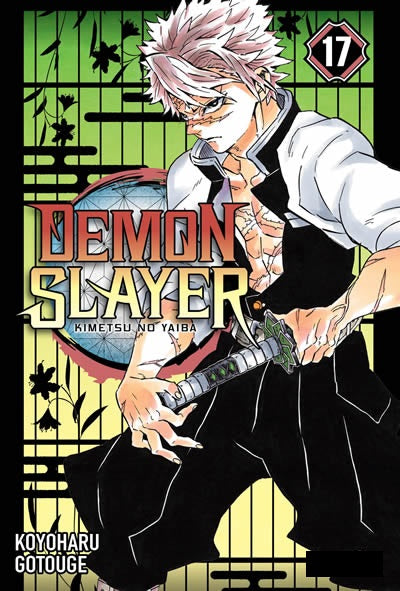 DEMON SLAYER: Kimetsu no yaiba 17