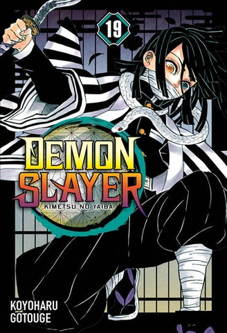 DEMON SLAYER: Kimetsu no yaiba 19