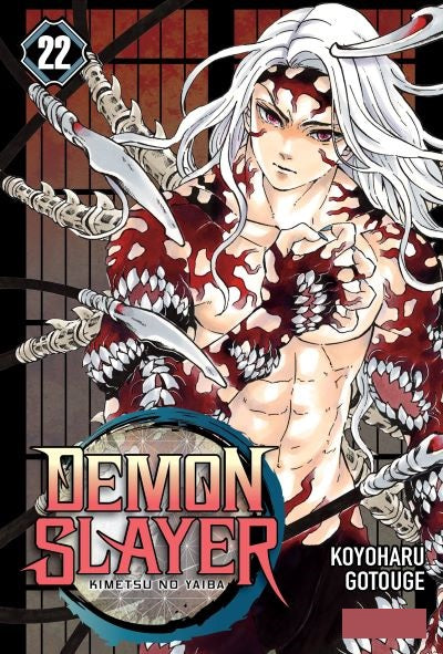 DEMON SLAYER: Kimetsu no yaiba 22