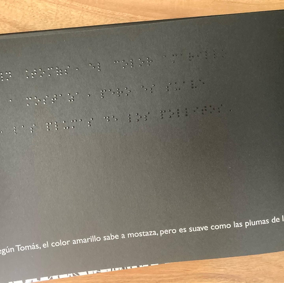 EL LIBRO NEGRO DE LOS COLORES