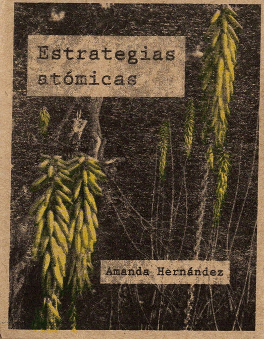 ESTRATEGIAS ATÓMICAS