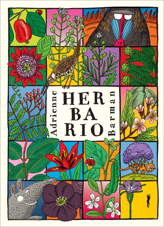 HERBARIO