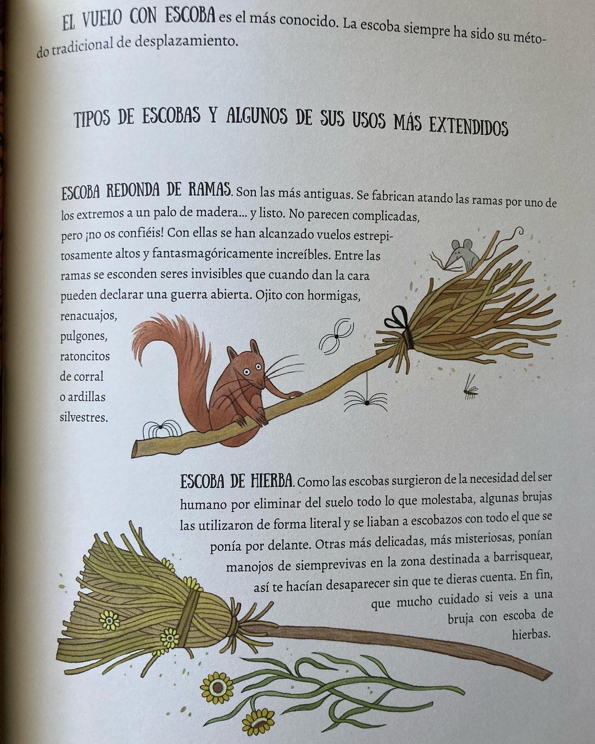 EL VUELO DE LAS BRUJAS