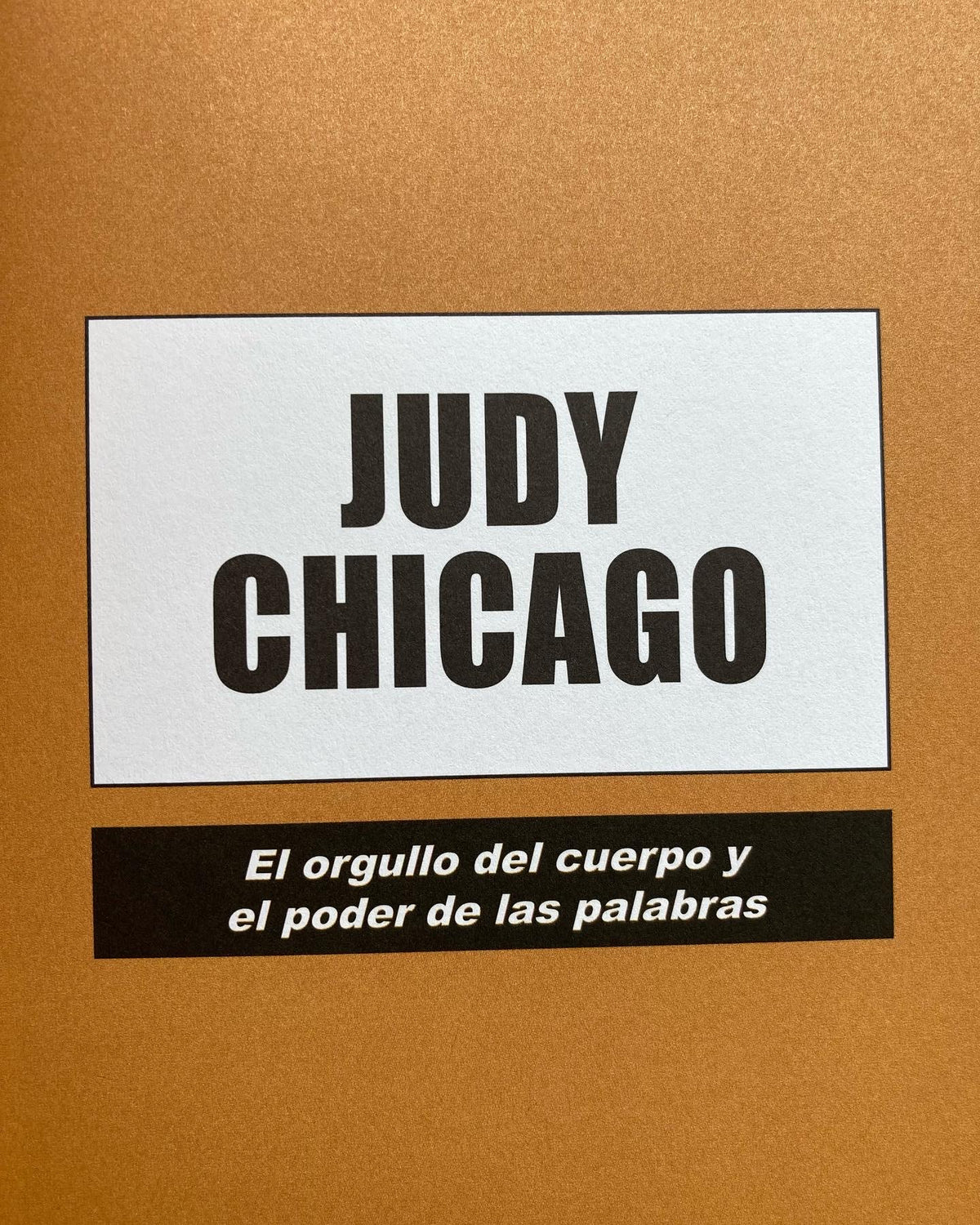 FEMINIST ART. Mujeres que revolucionaron el arte