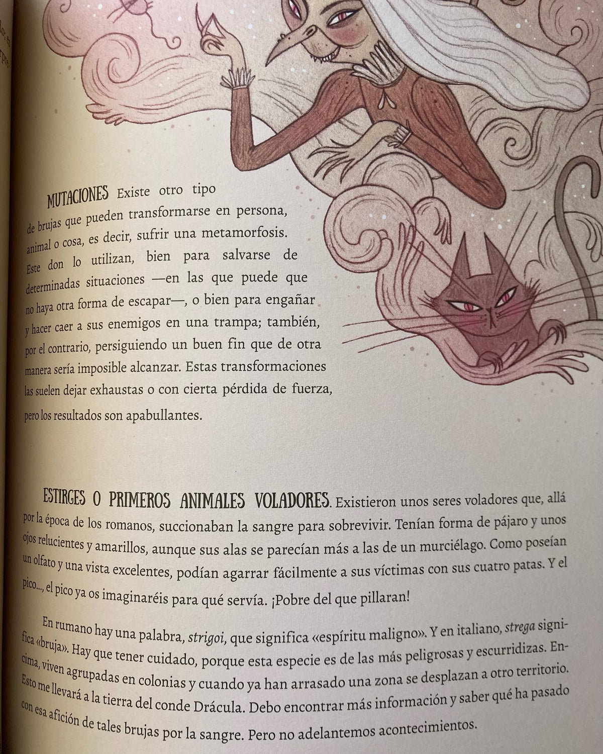 EL VUELO DE LAS BRUJAS