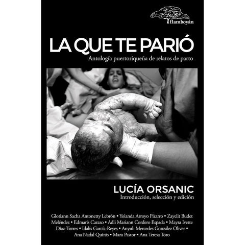 LA QUE TE PARIÓ. Antología puertorriqueña de relatos de parto