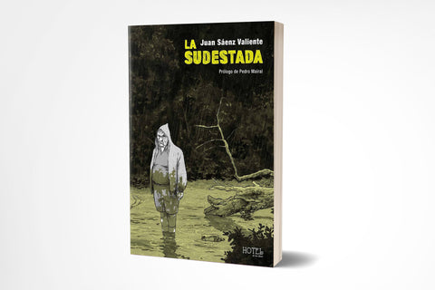 LA SUDESTADA