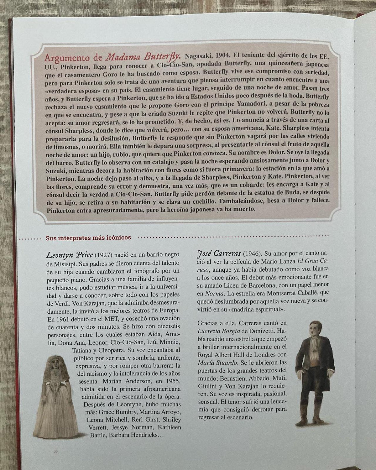 SE LEVANTA EL TELÓN DE LA ÓPERA