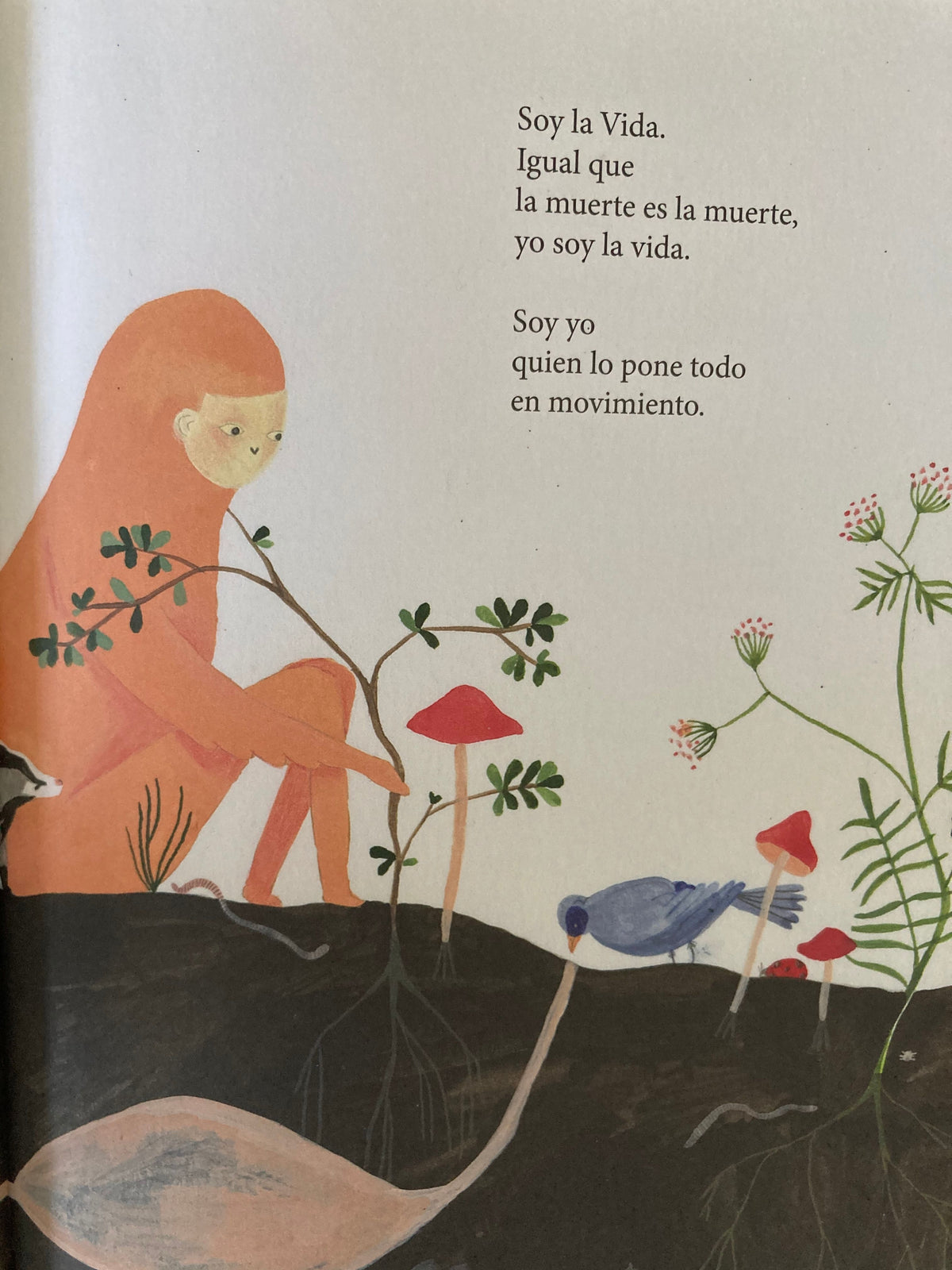 SOY LA VIDA