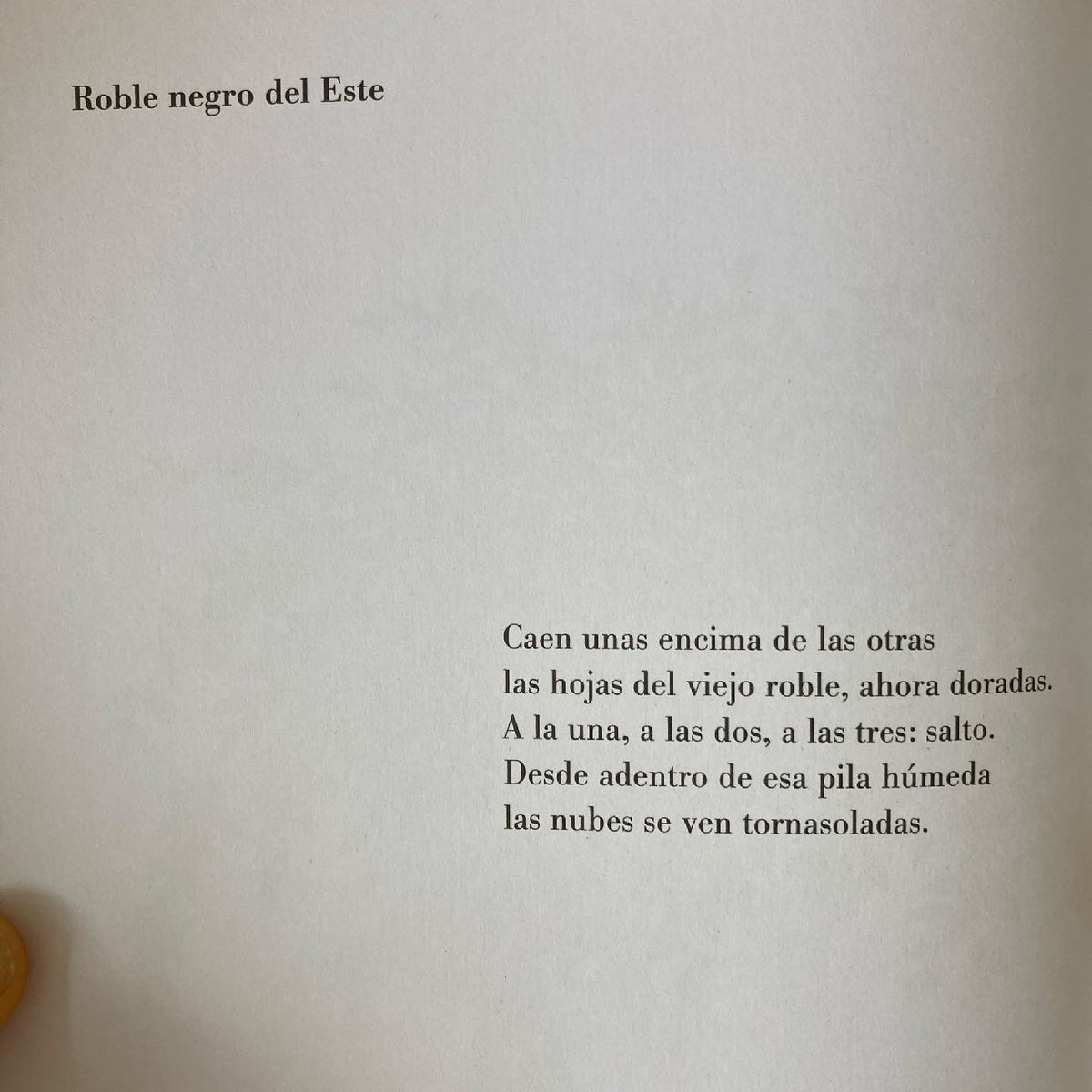 SOY UN JARDÍN