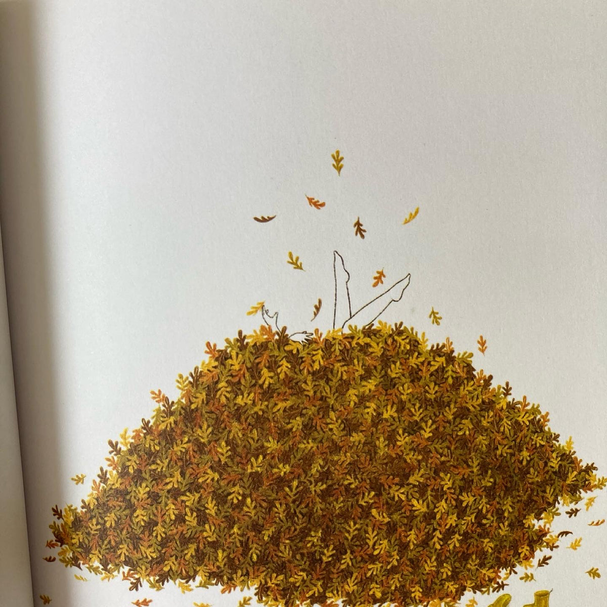 SOY UN JARDÍN