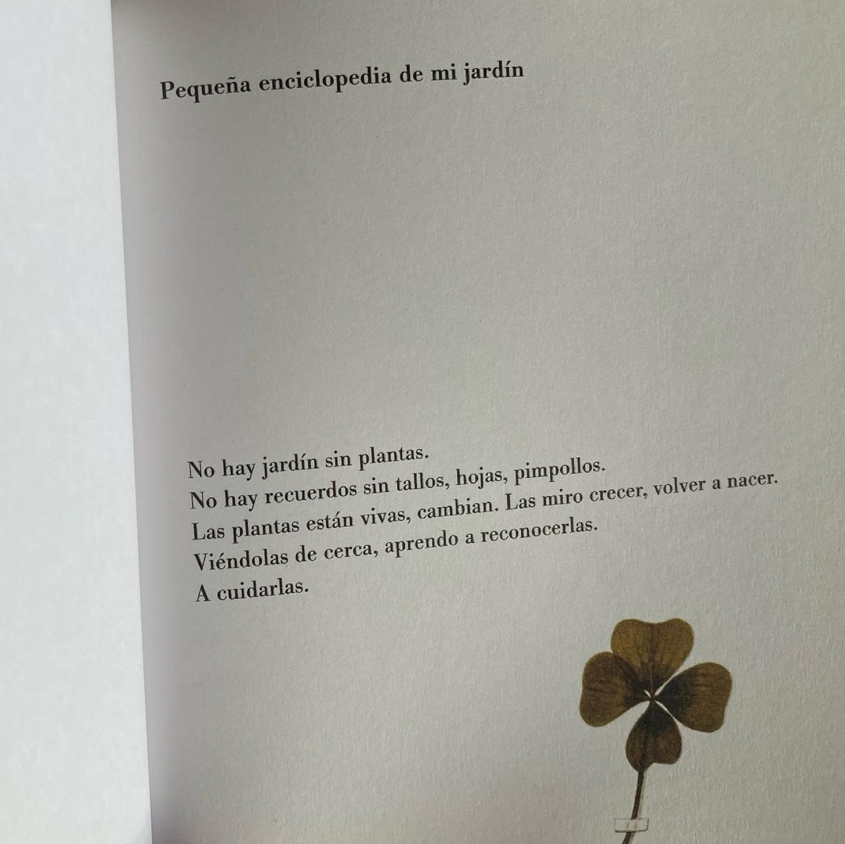 SOY UN JARDÍN