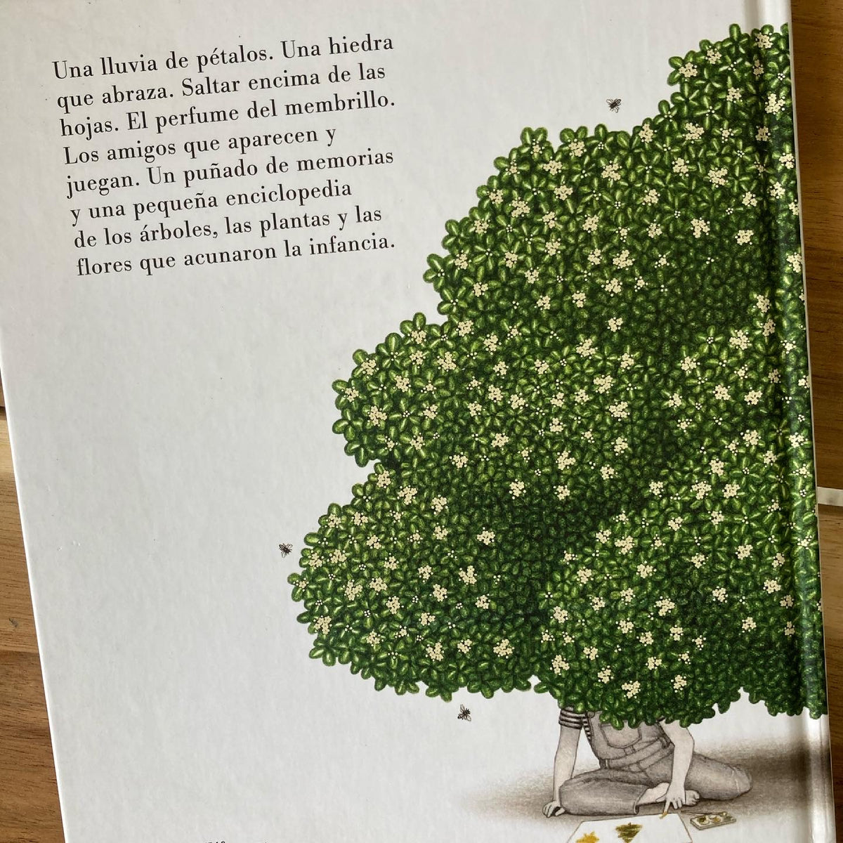 SOY UN JARDÍN