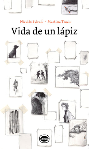 VIDA DE UN LÁPIZ